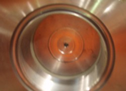 Lyco28.jpg